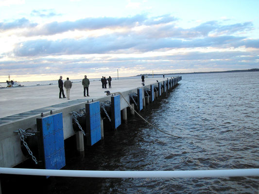 Qualité Type Marine Ship Rubber Fender Pad, amortisseur en caoutchouc de cône de bateau de cône usine