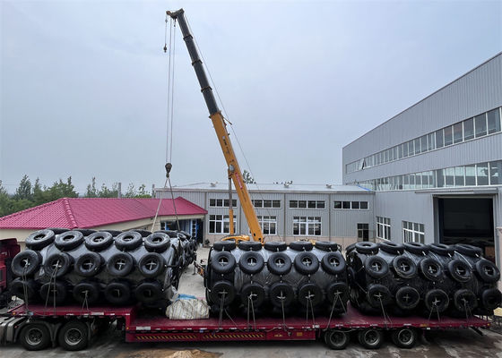 Qualité Amortisseur rempli de mousse de flottement d'EVA avec l'amortisseur solide d'Eva de noir de pneu de chaîne usine