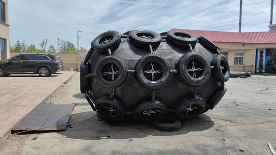 Qualité Résistant à la corrosion et à l'abrasion SS Rubber Marine Fender usine