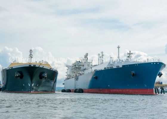 Qualité Amortisseur en caoutchouc pneumatique de Yokohama pour le transfert navire-navire Pperations de (STS) usine