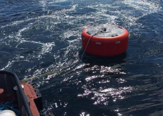 Qualité Matériel marin de polythène d'EVA de bouée d'amarrage de navire avec la haute performance usine