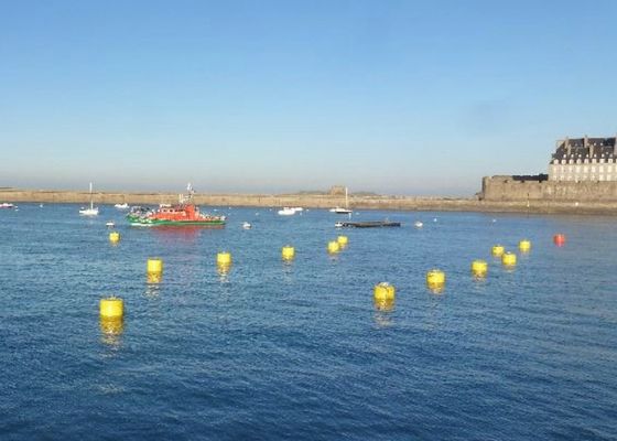 Qualité bouées de l'amarrage 100kg remplies de mousse, bouées d'amarrage de bateau avec l'appui à chaînes usine