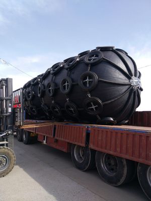 Qualité Type net amortisseur en caoutchouc pneumatique DST marin en caoutchouc STS de D usine