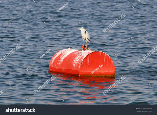 Qualité Balise remplie de mousse de Marine Floating And Steel Mooring avec la chaîne usine