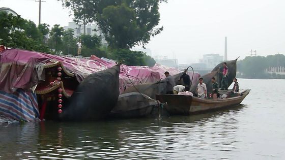 Qualité Amortisseur de flottement en caoutchouc de bateau d'amortisseur de Marine Inflatable Boat Hydro Pneumatic usine