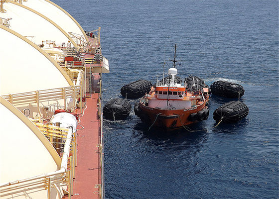 Qualité D3.3*6.5L D1.2*2L STS DST embarquant Marine Pneumatic Rubber Fneder usine